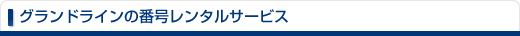 �O�����h���C���̔ԍ������^���T�[�r�X